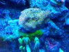 20141001_225106.jpg