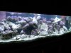 DSCN1182.JPG