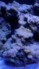 WP_20141029_001.jpg