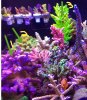 2014-12-02_15-30-37.jpg