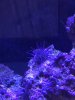 IMG_1544.jpg