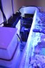 DSC_0187.JPG