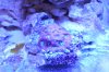 DSC_0173.JPG
