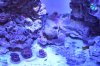 DSC_0178.JPG