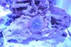 DSC_0184.JPG