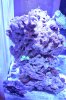 DSC_0186.JPG