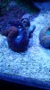 20141216_125257.jpg