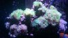 20141214_114050.jpg