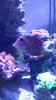 20141116_132035_19.jpg