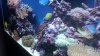 20141124_140803.jpg
