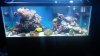 20141124_140734.jpg