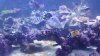 uploadfromtaptalk1420397471454.jpg