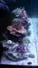 IMG_20150115_183431_650.jpg