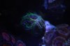upload_2015-1-19_15-31-50.jpeg