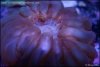 2013-04-21-00-23-49-21.jpg