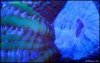dsc7614.jpg