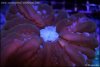 dsc021161.jpg
