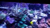 20150123_190349.jpg