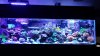 20150123_190756.jpg
