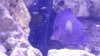 20150129_185041.jpg