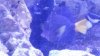20150129_185055.jpg