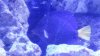 20150129_185101.jpg