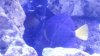 20150129_185108.jpg