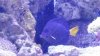 20150129_185205.jpg