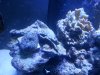 20150129_191832.jpg