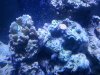 20150129_191836.jpg