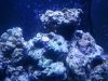 20150129_191840.jpg
