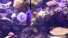 20150129_215206.jpg