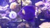 20150129_215158.jpg
