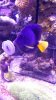 20150129_215151.jpg