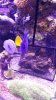 20150129_215144.jpg