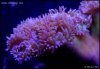 _DSC8697.JPG