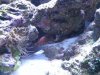 20150202_183635.jpg