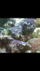 Screenshot_2015-02-11-10-29-26.png