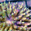 upload_2015-2-15_23-57-43.png