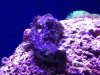 IMG_5817.jpg
