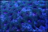 _DSC8936.JPG