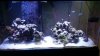 20150315_173913.jpg