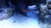 20150315_174137.jpg