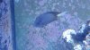 20150315_174205.jpg