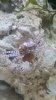 20150321_213400.jpg