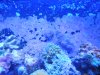 DSCN3381.JPG