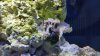 20150401_190918_resized.jpg