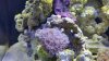 20150401_190924_resized.jpg
