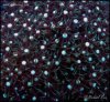 elite_reef_coral__DSC9335.JPG