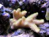 IMG_0127.JPG